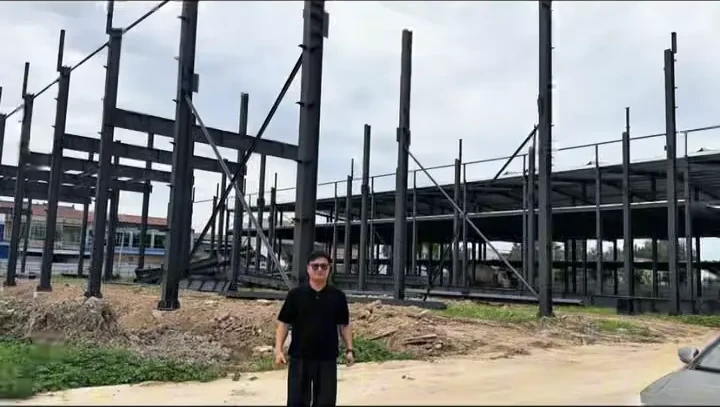 Steel structure erection for rattan weaving production building